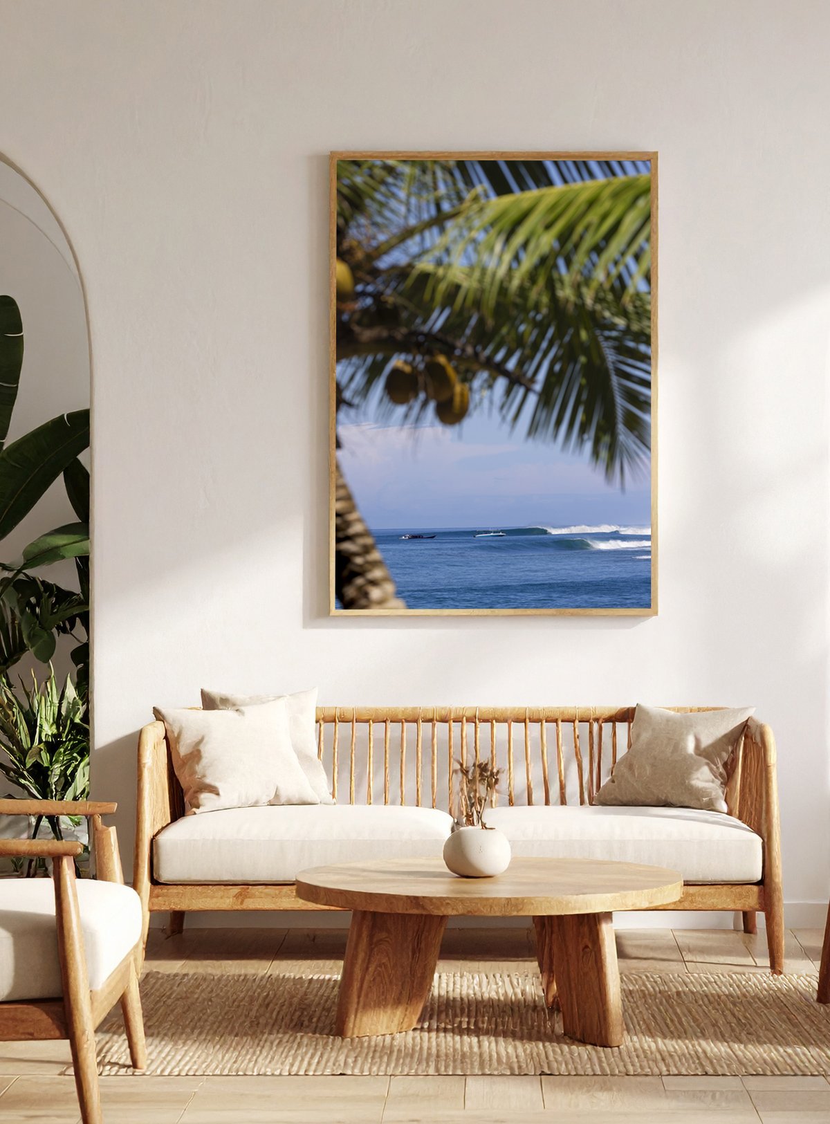 Image of Tropicality 