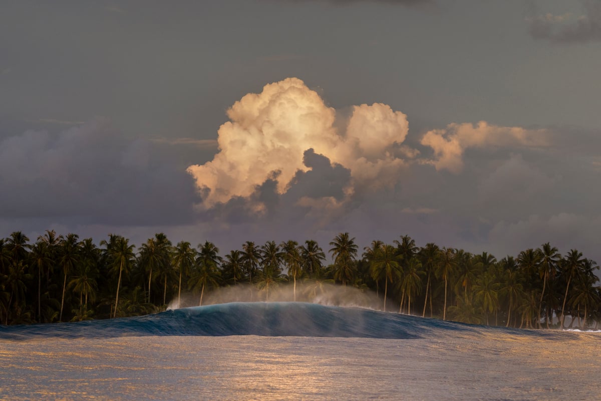 Image of Last Light