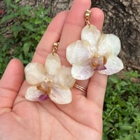 Image 2 of Real Orchid Resin Drop Earrings