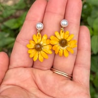 Image 3 of Real Daisy Resin Drop Earrings