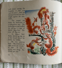 Image 7 of Mischief the Squirrel Père Castor No.1