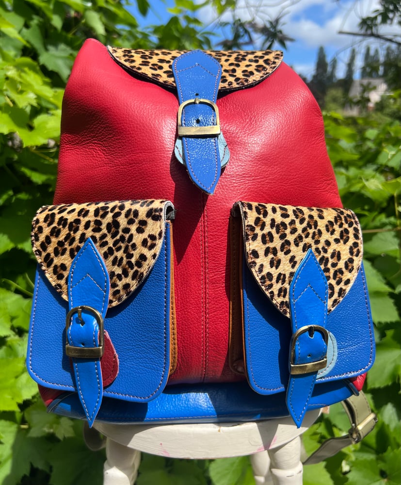 Image of Traditional coloured backpack -2 pkt #32BBB