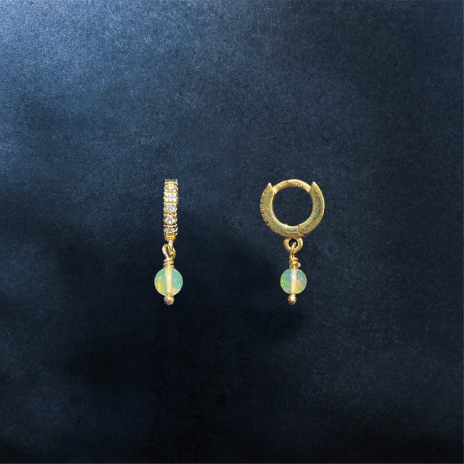 PALOMA / OPAL