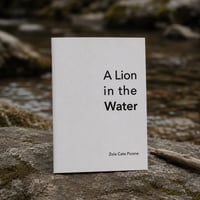 A Lion in the Water by Zola Cate Picone