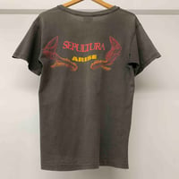 Image 4 of Sepultura 'Arise' 1991 M