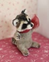 Plum the cute raccoon