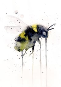 BEE I - OLD STOCK - ON SALE