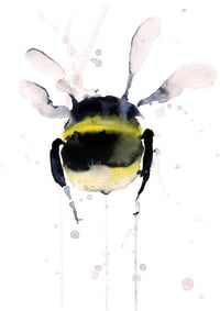 BEE Ii - OLD STOCK - ON SALE