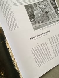 Image 4 of Accattone #9