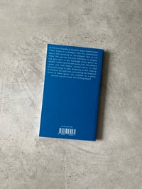 Image 5 of The Domestic Encyclopaedia by Annee Grøtte Viken