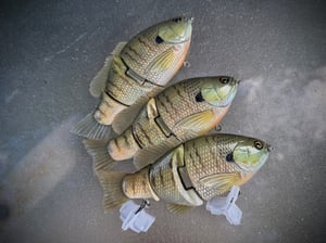 Image of 3 Piece Ann (Summer Gill)