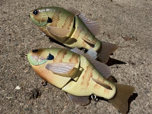 Image of Ann Deluxe (Glossy Bone Gill)