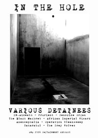*PRE-ORDER* Various Detainees - In The Hole LP (DE/Tainment-Tesco)