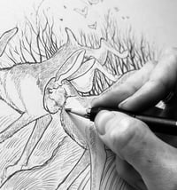 Image 2 of Sun Dance