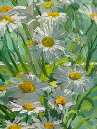 Image 6 of Daisies against window in cream jug 63cm x 79cm