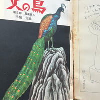 Image 21 of COM Nov. issue 1969 (TEZUKA's antidote to GARO! :0 ) LOW GRADE/READER COPY AKA...