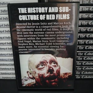 Image of Beyond Horror (Vile Video Productions DVD)