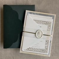 Image 2 of Regency minimalist vellum paper belly bands  PACK of 10
