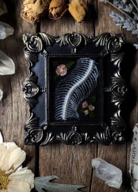Image 5 of Snake Spine and Flower Wall Frame