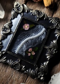 Image 1 of Snake Spine and Flower Wall Frame