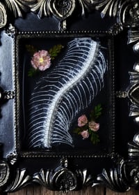 Image 3 of Snake Spine and Flower Wall Frame