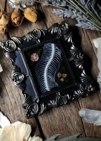 Image 4 of Snake Spine and Flower Wall Frame