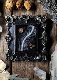 Image 2 of Snake Spine and Flower Wall Frame