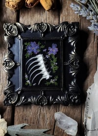 Image 5 of Spine and Flower Wall Frame