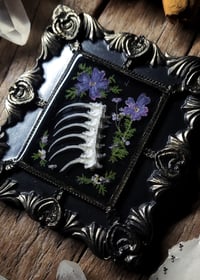 Image 2 of Spine and Flower Wall Frame