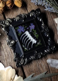 Image 4 of Spine and Flower Wall Frame