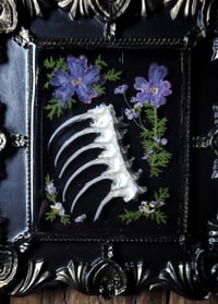 Image 3 of Spine and Flower Wall Frame