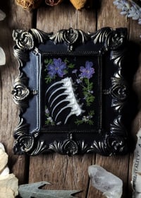 Image 1 of Spine and Flower Wall Frame