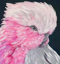 Image 3 of NEW Painting Workshop - 'Paint a Cheeky Galah' Full Day Workshop 