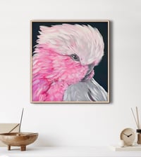Image 2 of NEW Painting Workshop - 'Paint a Cheeky Galah' Full Day Workshop 
