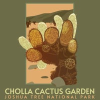 Image 2 of Cholla Cactus Garden