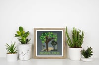 Image 1 of Joshua Trees 