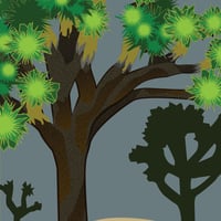Image 3 of Joshua Trees 