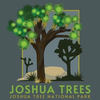 Image 2 of Joshua Tree Collection