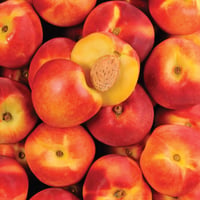 Spanish Matiss Nectarines