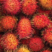 Thai Rambutan Fruit