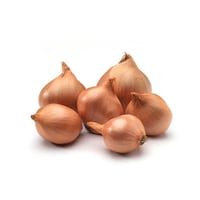 British Round Shallot