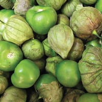 Colombian Toma Verde Tomatillo