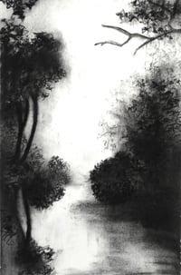 Penllegare Woods (1)