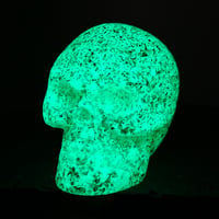 Image 1 of Disco gmd green v6 skull