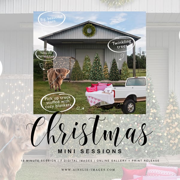 Image of Evergreen Christmas Holiday Minis 