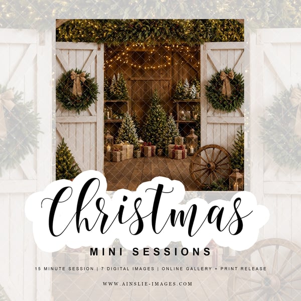 Image of Rustic Christmas Holiday Minis 