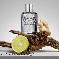 Image 1 of Parfums De Marly Castley 