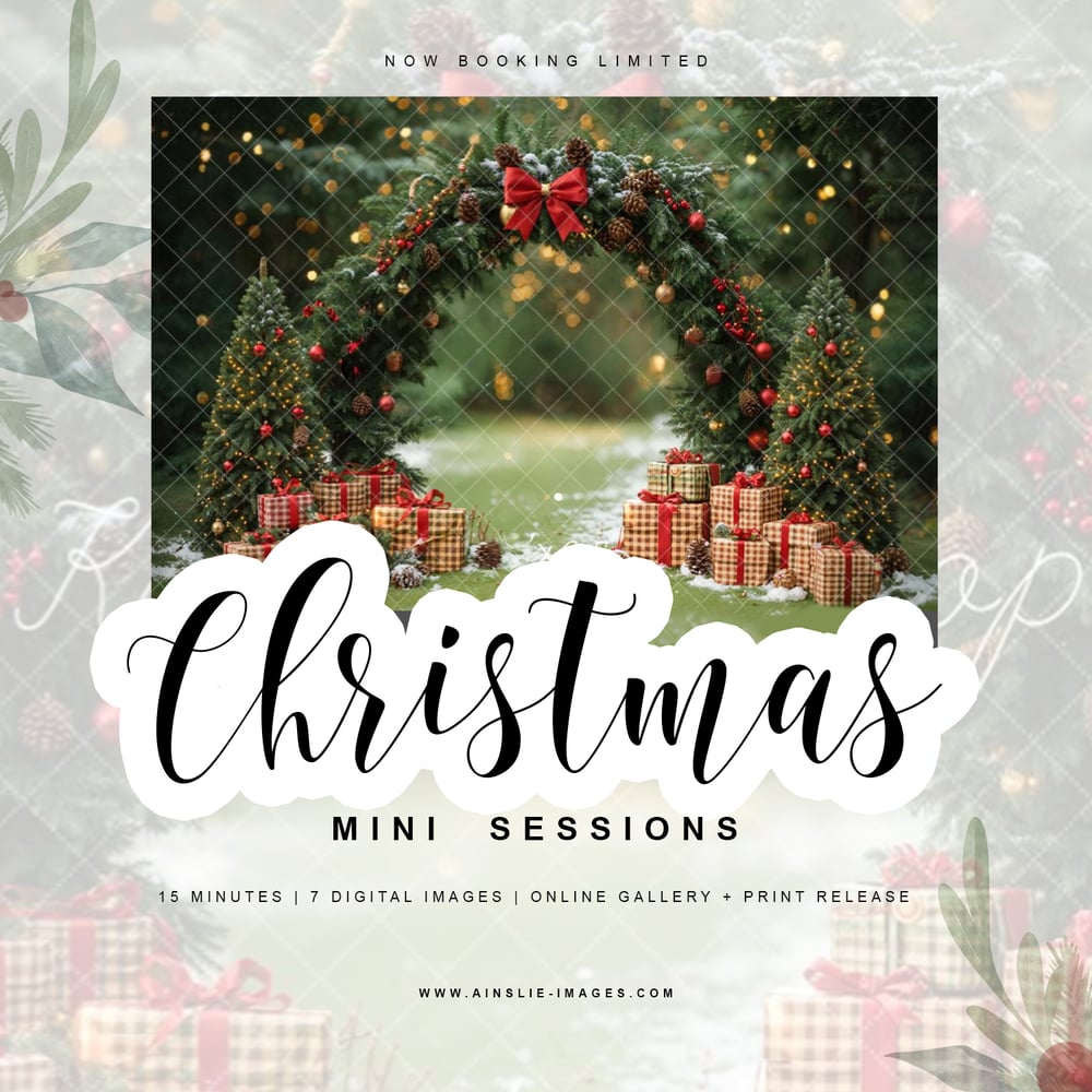 Image of Christmas Pines Holiday Minis 