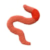 Worm