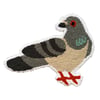 Standing Pigeon
